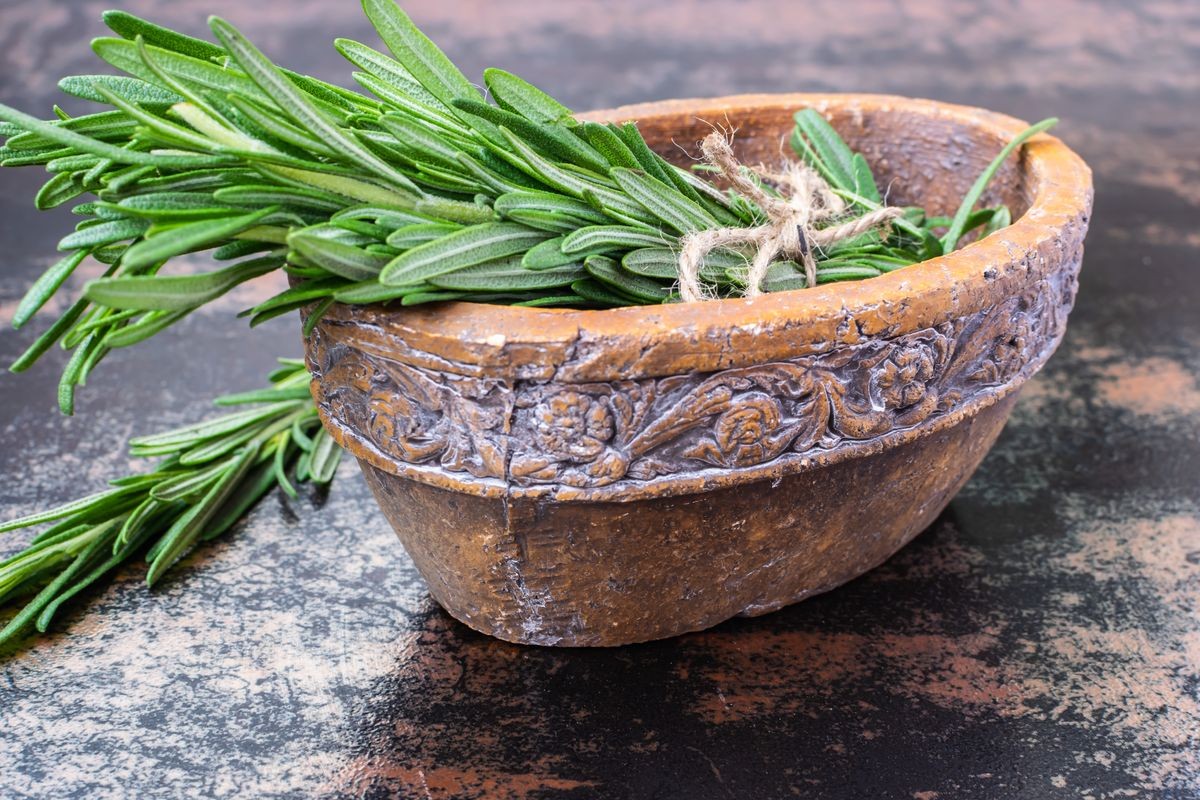 Fresh rosemary herb isolated in vintage clay bowl on dark rustic background.